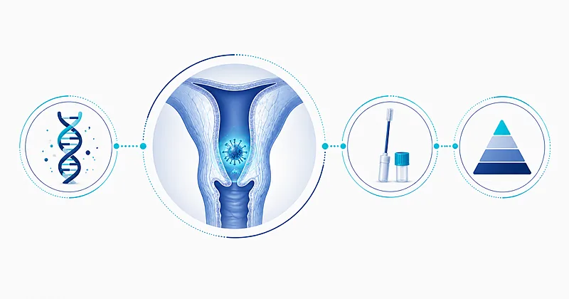 Cervical cancer screening illustration showing HPV primary testing molecular structure and sample collection device on clean medical background