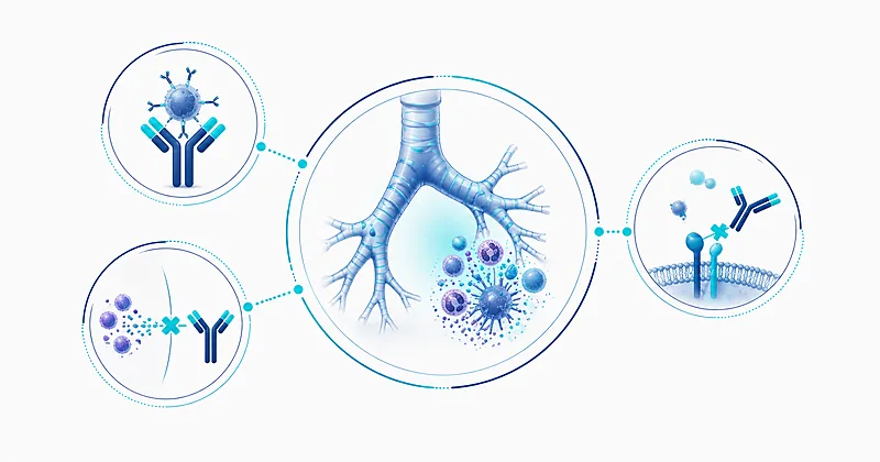 Pediatric asthma biologics decision algorithm showing omalizumab, mepolizumab, and dupilumab patient selection by inflammatory phenotype